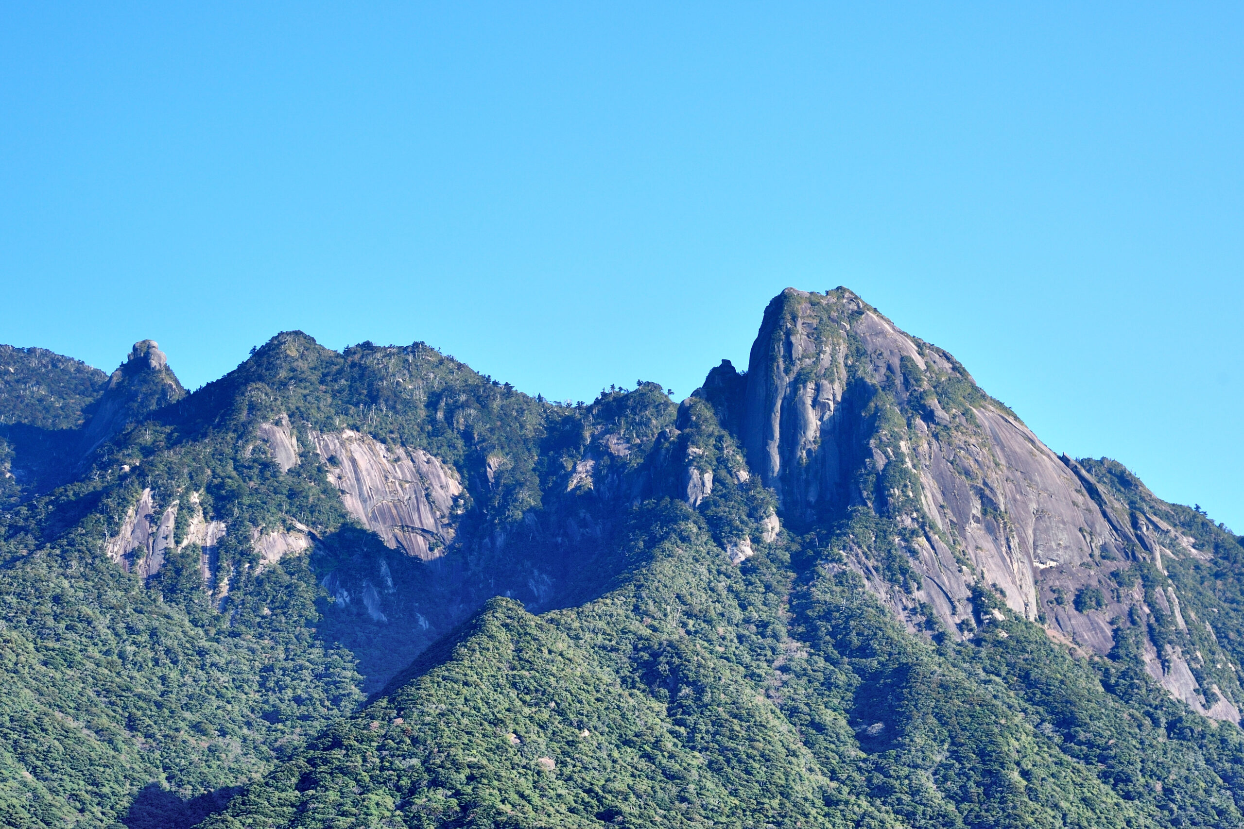 11月27日出発|まだ知らぬ未踏の屋久島へ ～samana hotel Yakushimaに3  