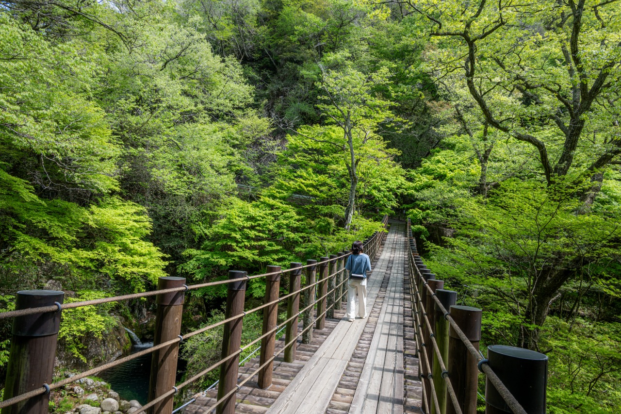 花貫渓谷の汐見滝吊り橋