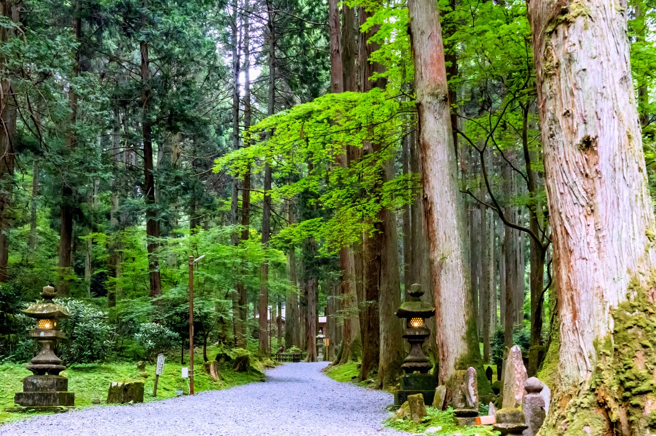 御岩神社参道